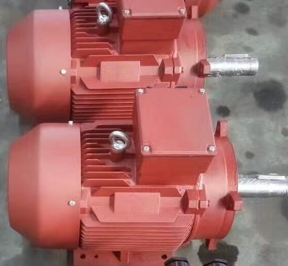 YE3系列特殊用途高效電機(jī)